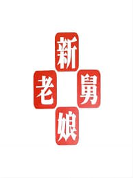 新老娘舅——恶魔奶爸2季