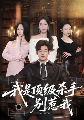 我是顶级杀手，别惹我——电影密爱