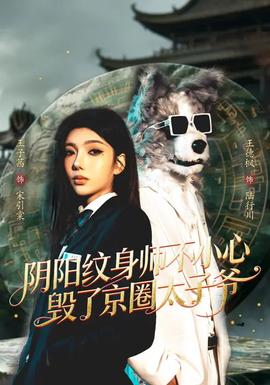 阴阳纹身师不小心毁了京圈太子爷——新三国1至95集免费观看